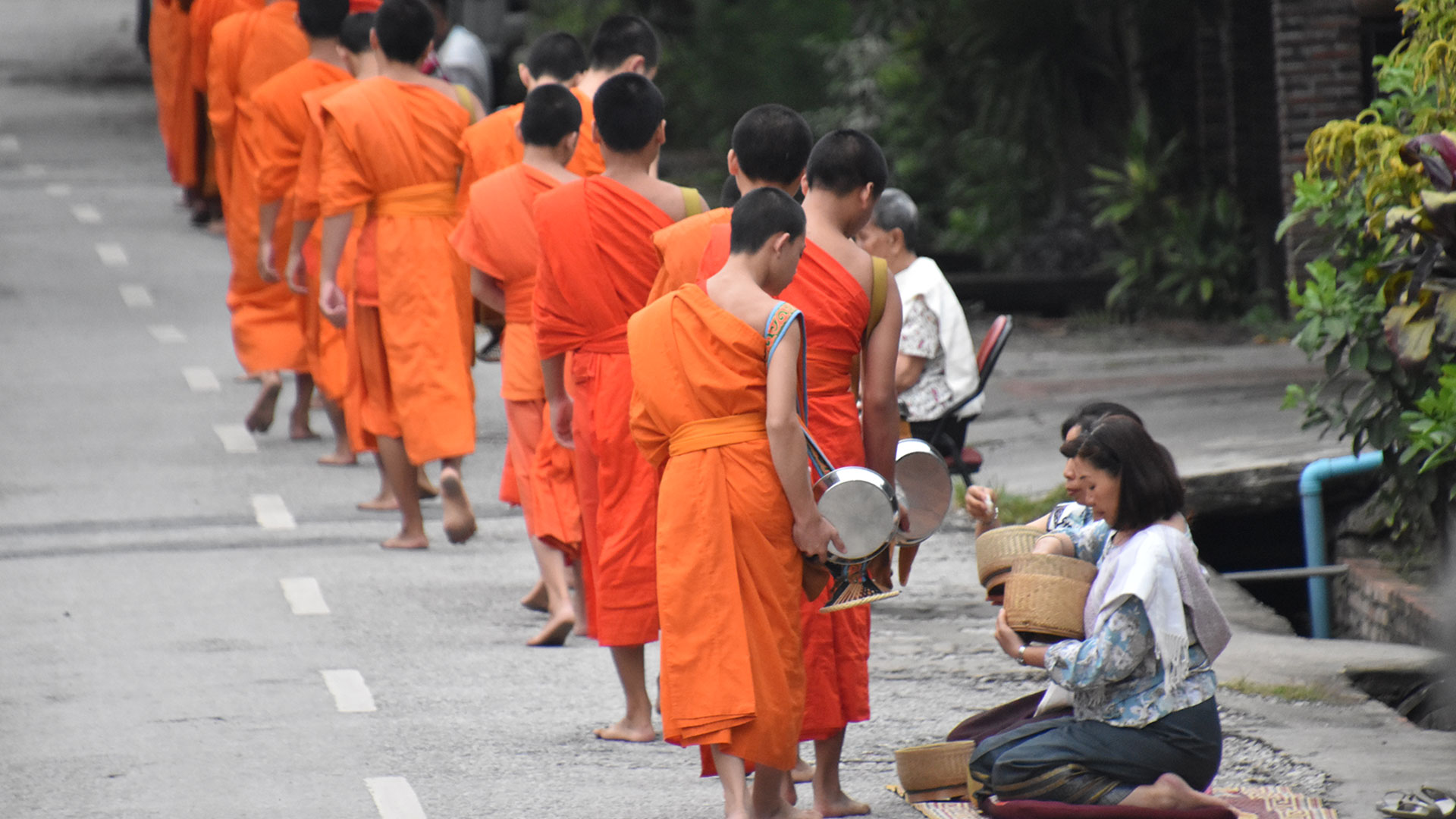 Observing Morning Alms (Sai Bat) in Luang Prabang, Laos